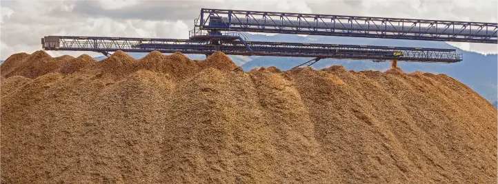 Large mound of wood chips at an industrial facility with a blue conveyor system overhead.