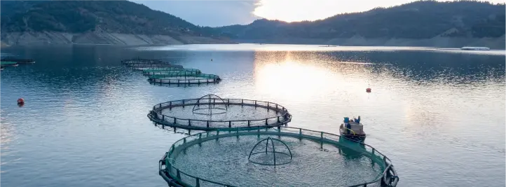 Circular fish enclosures on a calm lake at sunset with mountains in the background; a small boat with two people nearby.