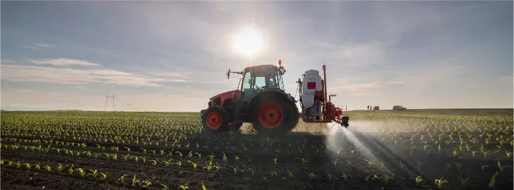 Red tractor with spray equipment working across a field of young crops at sunrise/sunset