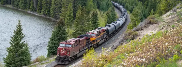 Freight train with red-and-yellow locomotives curving along a hillside beside a lake with pine trees in a forested landscape